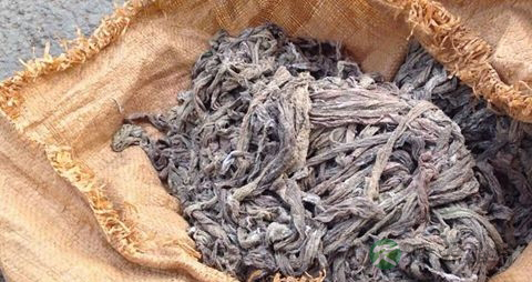 治糖尿病的秘方 治糖尿病的秘方