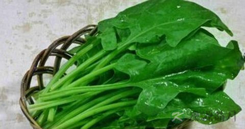 糖尿病患者的食物 糖尿病患者的食物