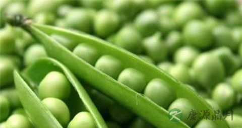 预防糖尿病的食物有哪些 预防糖尿病的食物有哪些