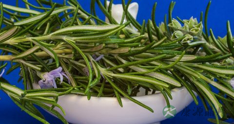 降血糖药哪种好