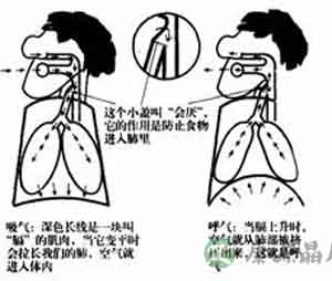 治疗冬日呃逆症有妙招 治疗冬日呃逆症有妙招