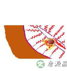 完全图示 生命的种子如何发芽 完全图示 生命的种子如何发芽