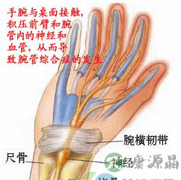 鼠标手图片 鼠标手图片