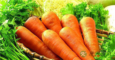低血压不能吃什么 患者需远离这些食物 低血压不能吃什么 患者需远离这些食物