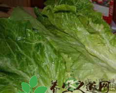 生菜的营养价值