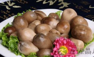 菇类的营养价值