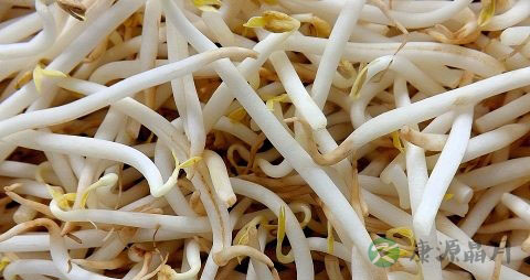 生病老人中午吃什么饭 生病老人中午吃什么饭