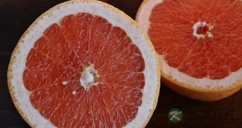 老年人怎么吃柚子皮有好处 老年人怎么吃柚子皮有好处