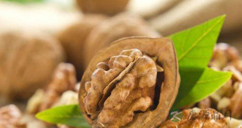 老年人吃什么菜比较好 老年人吃什么菜比较好