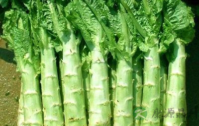 老年人风湿腰疼怎么办 老年人风湿腰疼怎么办
