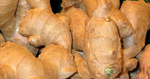 老人泡脚好吗 老人泡脚好吗