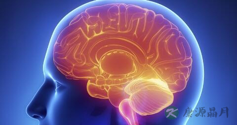 脑梗死与缺血性脑卒中 脑梗死与缺血性脑卒中