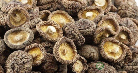 颌骨骨髓炎的症状 颌骨骨髓炎的症状