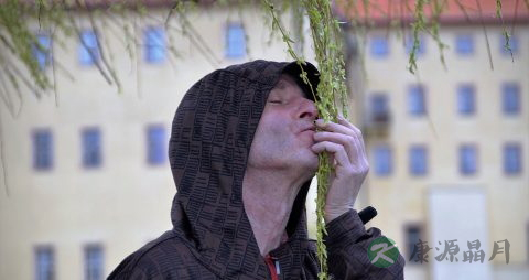 癫痫不能吃什么，癫痫的注意事项