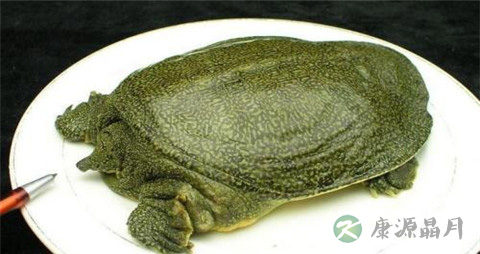 艾滋病常用药物
