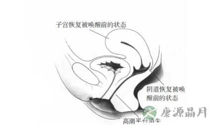 女性性器官随性反应会出现什么变化 女性性器官随性反应会出现什么变化