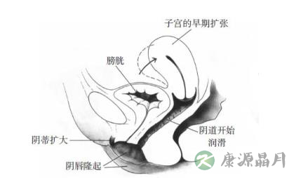 女性性器官随性反应会出现什么变化 女性性器官随性反应会出现什么变化