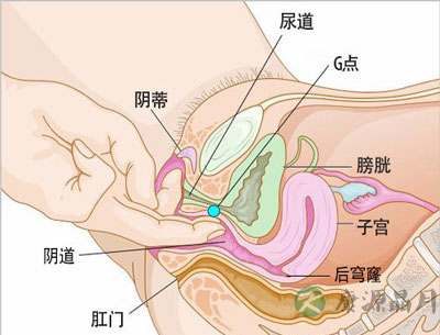妹子：阴蒂高潮阴道高潮真实感受
