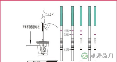 【小编教你如何看验孕试纸?】验孕试纸的查看方法 【小编教你如何看验孕试纸?】验孕试纸的查看方法