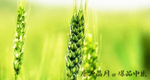 小满节气的由来 小满节气的由来