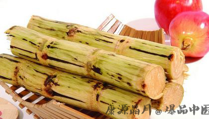 秋分吃什么预防秋燥?首选12种食物 秋分吃什么预防秋燥?首选12种食物