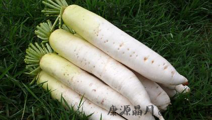 霜降必吃的十一种食物 霜降必吃的十一种食物