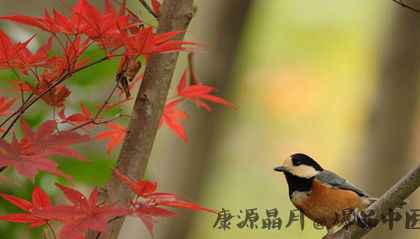 2014寒露是什么时候?天气还热吗 2014寒露是什么时候?天气还热吗