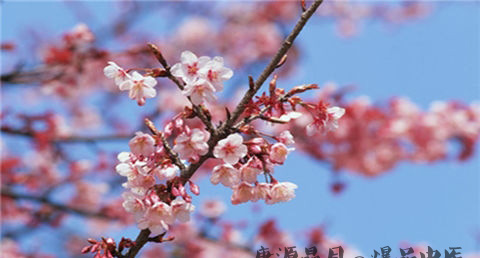 51劳动节的意义 51劳动节的意义