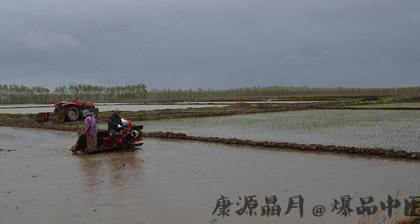 小满是什么日子 小满是什么日子