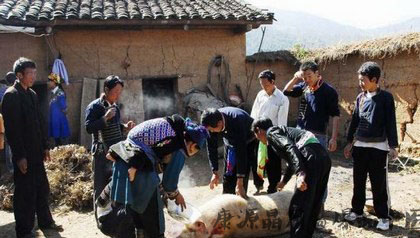 彝族怎么过春节_彝族春节习俗 彝族怎么过春节_彝族春节习俗