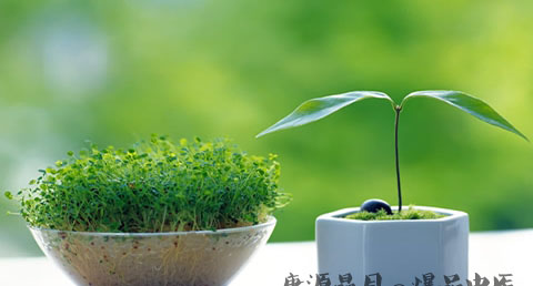 闰六月有什么讲究 闰六月有什么讲究