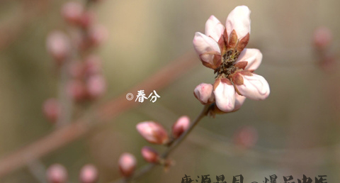 春分的含义 春分的含义