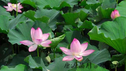 大暑是什么意思 当心中暑小心防晒