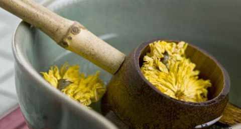 重阳节要干什么 重阳节要干什么