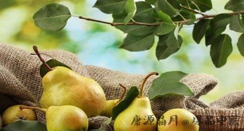 小寒养生吃什么最好 小寒养生吃什么最好