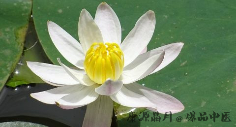 谷雨节气吃什么好 谷雨节气吃什么好