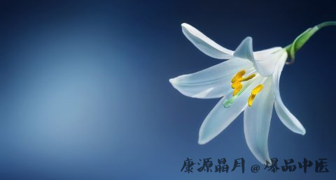 母亲节送什么花 母亲节送什么花