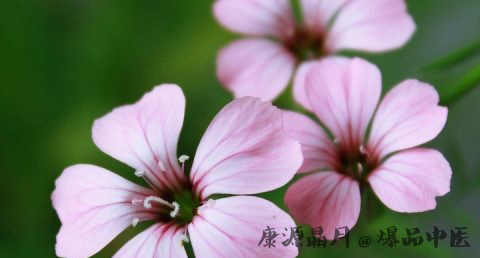小暑节气代表什么 小暑节气代表什么