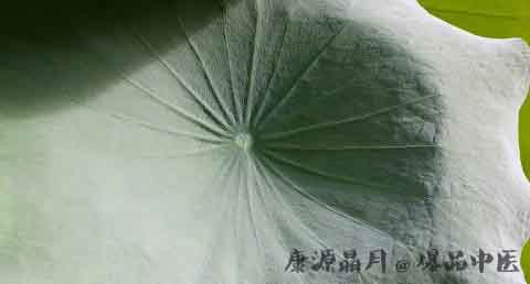 小暑养生知识 小暑养生知识