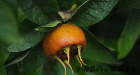 小满节气的天气 小满节气的天气