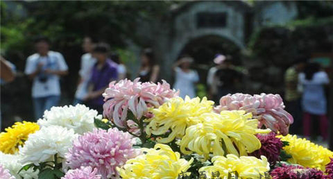 重阳节是干什么的 重阳节是干什么的