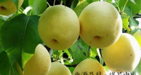 秋分养生保健 秋分养生保健
