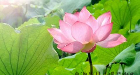 每隔几年一个闰月 每隔几年一个闰月