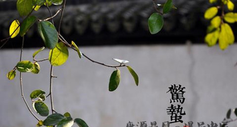 24节气中惊蛰的由来 24节气中惊蛰的由来