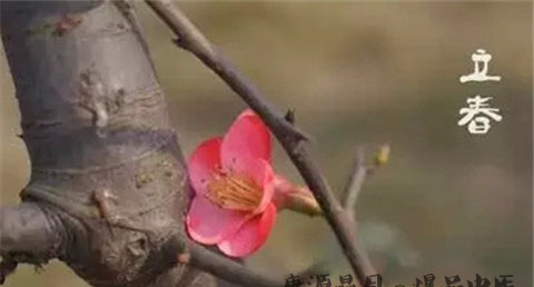 立春是几点 立春是几点