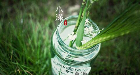 小满节气的介绍 小满节气的介绍