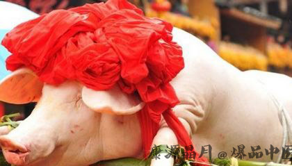 小雪节气习俗吃刨汤 小雪节气习俗吃刨汤