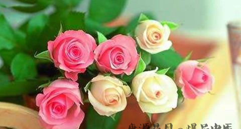 父亲节礼物送什么好 父亲节礼物送什么好