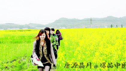 清明节为什么是阳历 清明节为什么是阳历