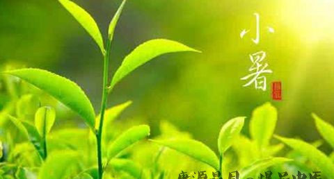 24节气小暑是什么意思 24节气小暑是什么意思